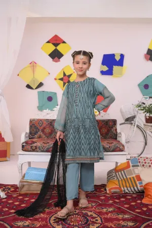 Meray Aangan Main Eid Ki Tayyari by Amna Khadija Kids Eid Collection'2023-MAE-05